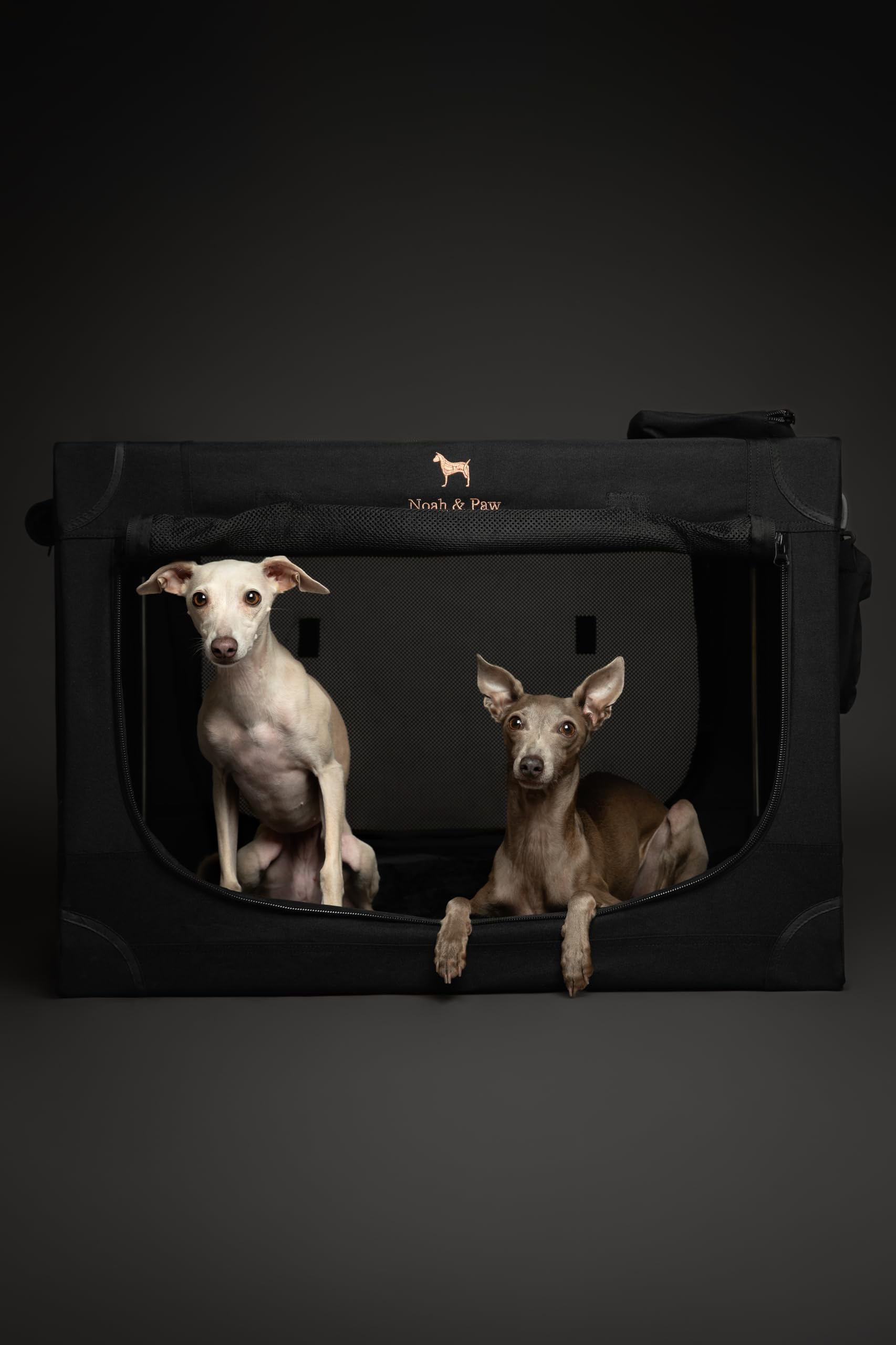 Noah & Paw patent-pending folding mechanism enables quick storage