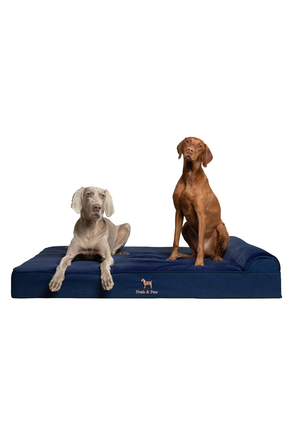 NOAH & PAW Giant Bed XXL denim cover ready for big dogs, with easy-clean durability
