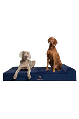 NOAH & PAW Giant Bed XXL denim cover ready for big dogs, with easy-clean durability