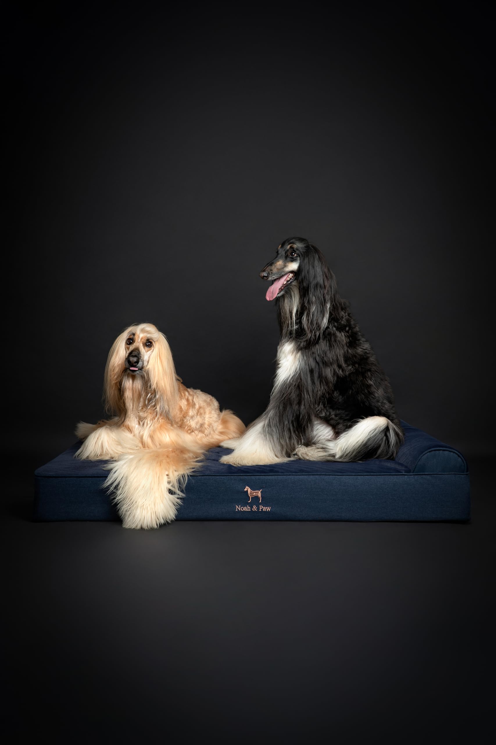 NOAH & PAW Giant Bed XXL easy-care washable covers