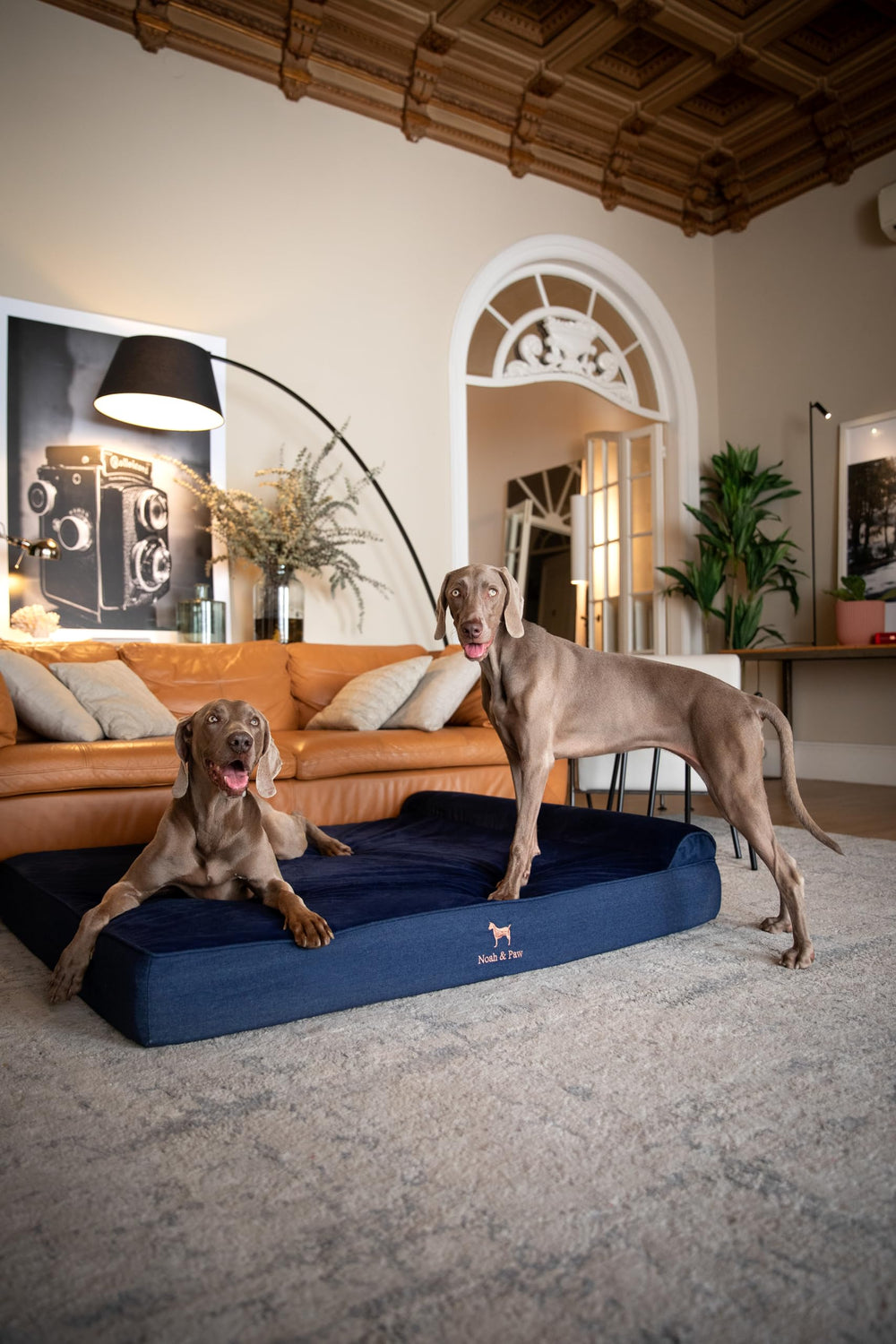 NOAH & PAW Giant Bed XXL foam core showing supportive base for joint relief