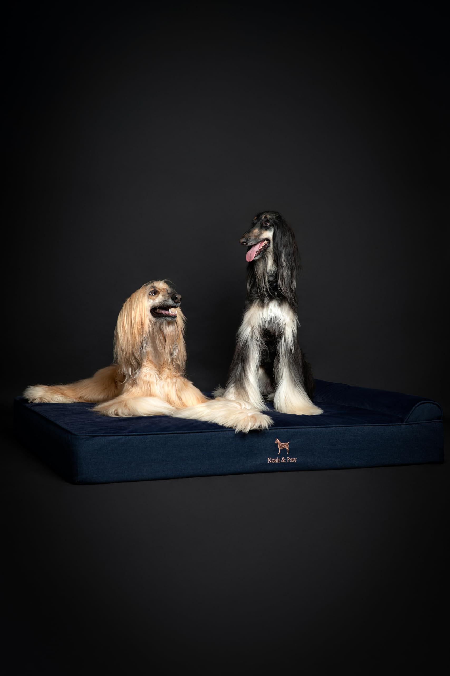 NOAH & PAW Giant Bed XXL inner cover for added protection
