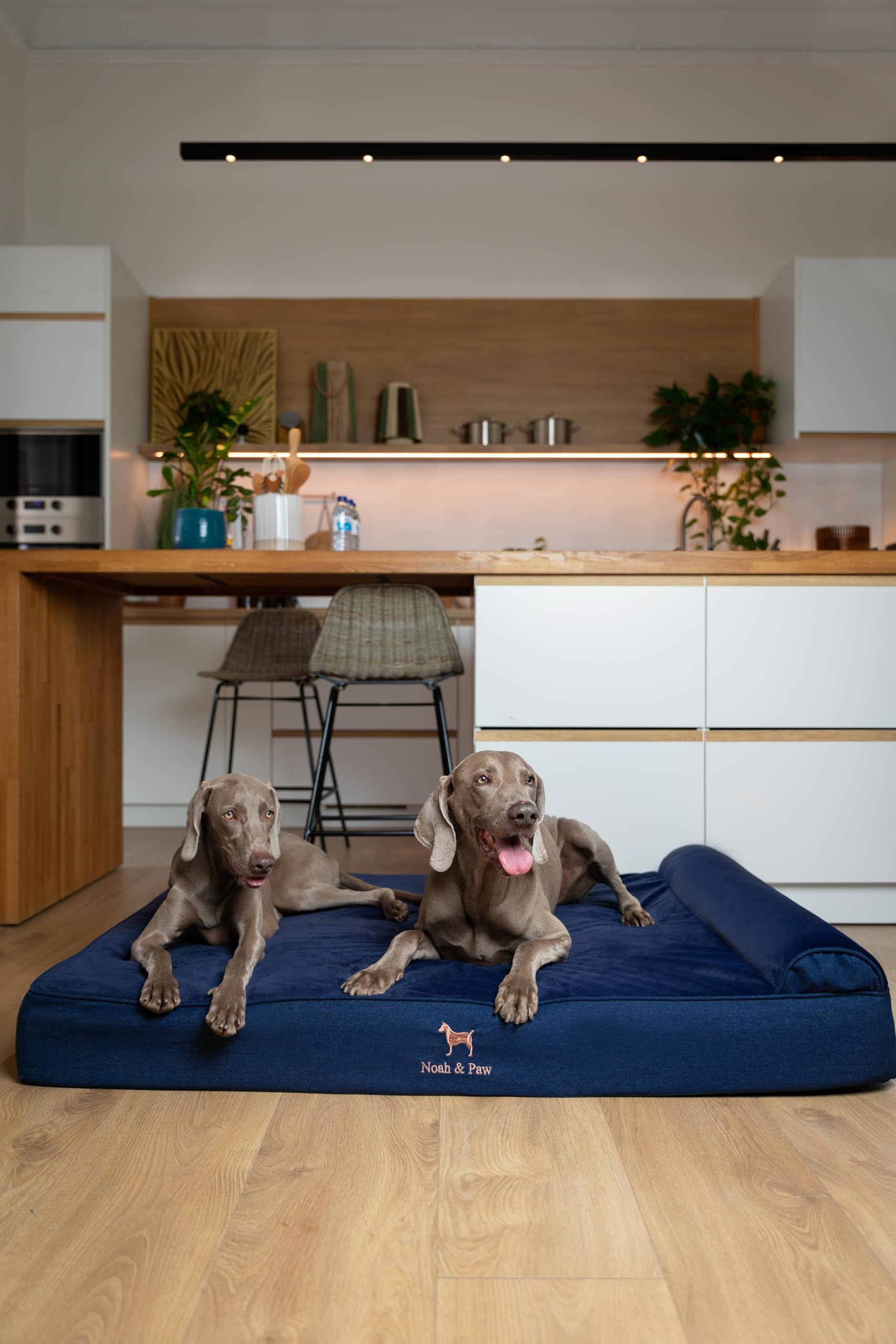 NOAH & PAW Giant Bed XXL reinforced stitching for durability