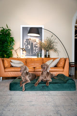 NOAH & PAW giant dog bed inner cover shown; removable design supports quick, hygienic refresh.