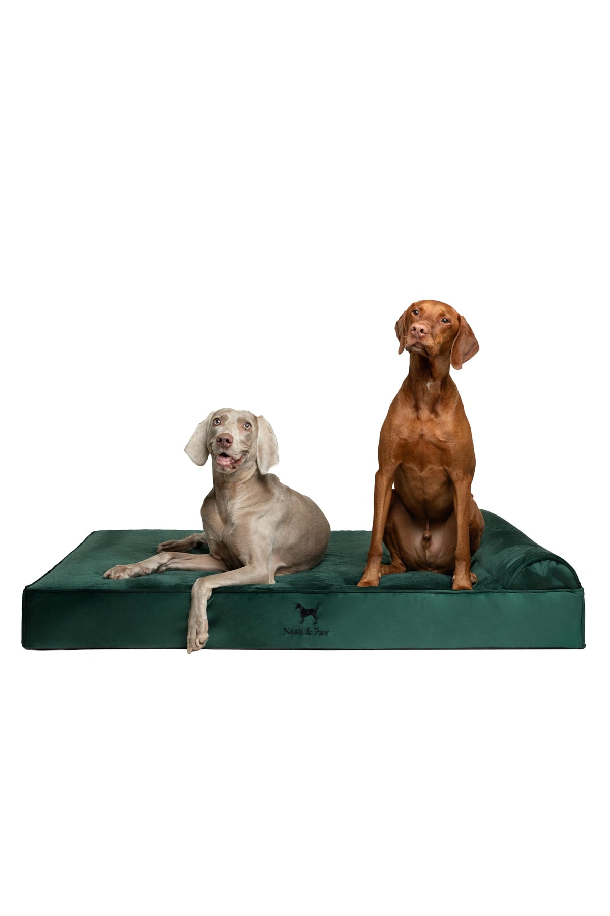 NOAH & PAW giant dog bed outer cover demonstrates durability and easy cleaning for daily use.