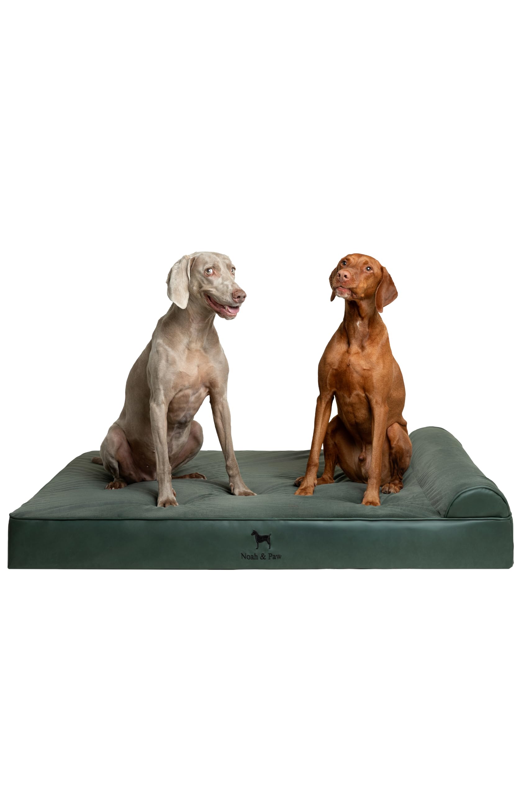 NOAH & PAW Giant Dog Bed XXL close-up shows cooling gel memory foam layer for comfort.