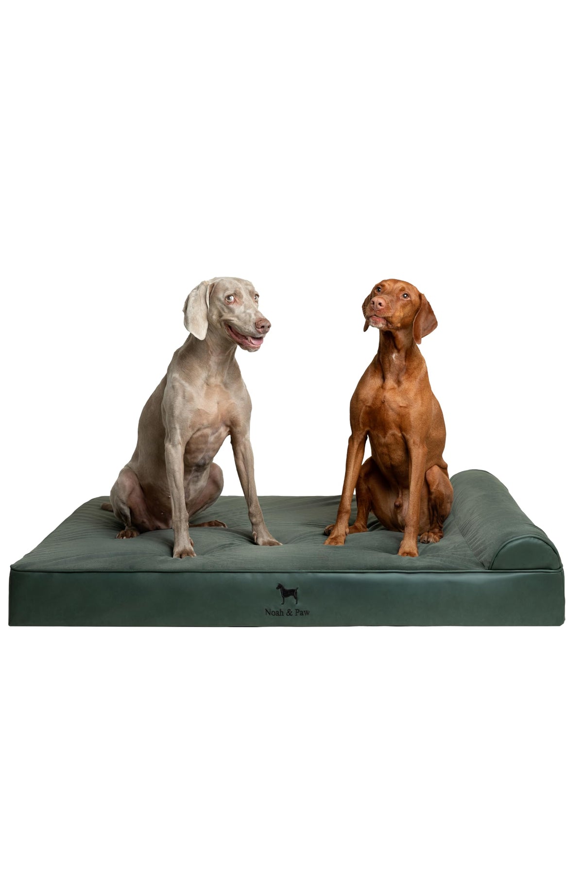 NOAH & PAW Giant Dog Bed XXL close-up shows cooling gel memory foam layer for comfort.