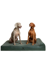 NOAH & PAW Giant Dog Bed XXL close-up shows cooling gel memory foam layer for comfort.