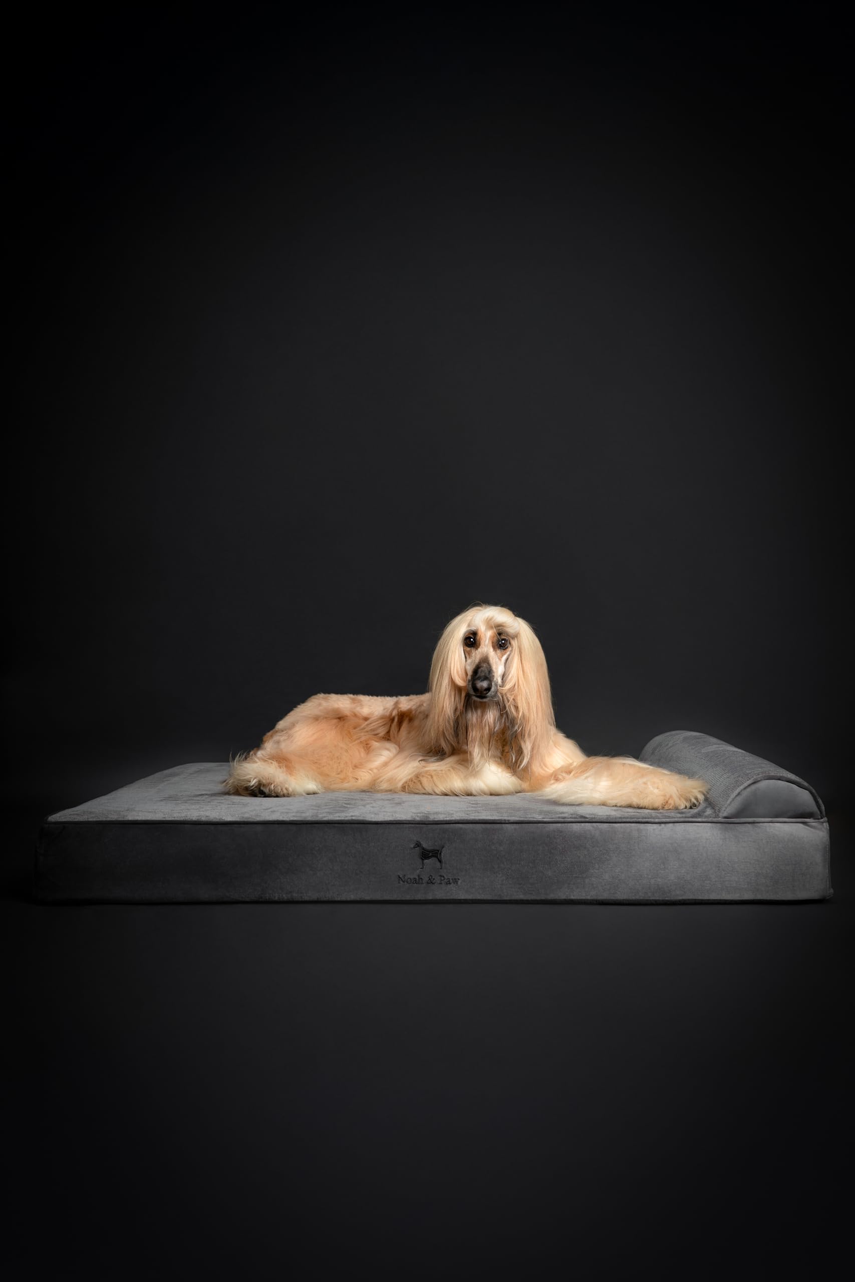 NOAH & PAW Giant Dog Bed XXL 55x45 dimension label for size awareness