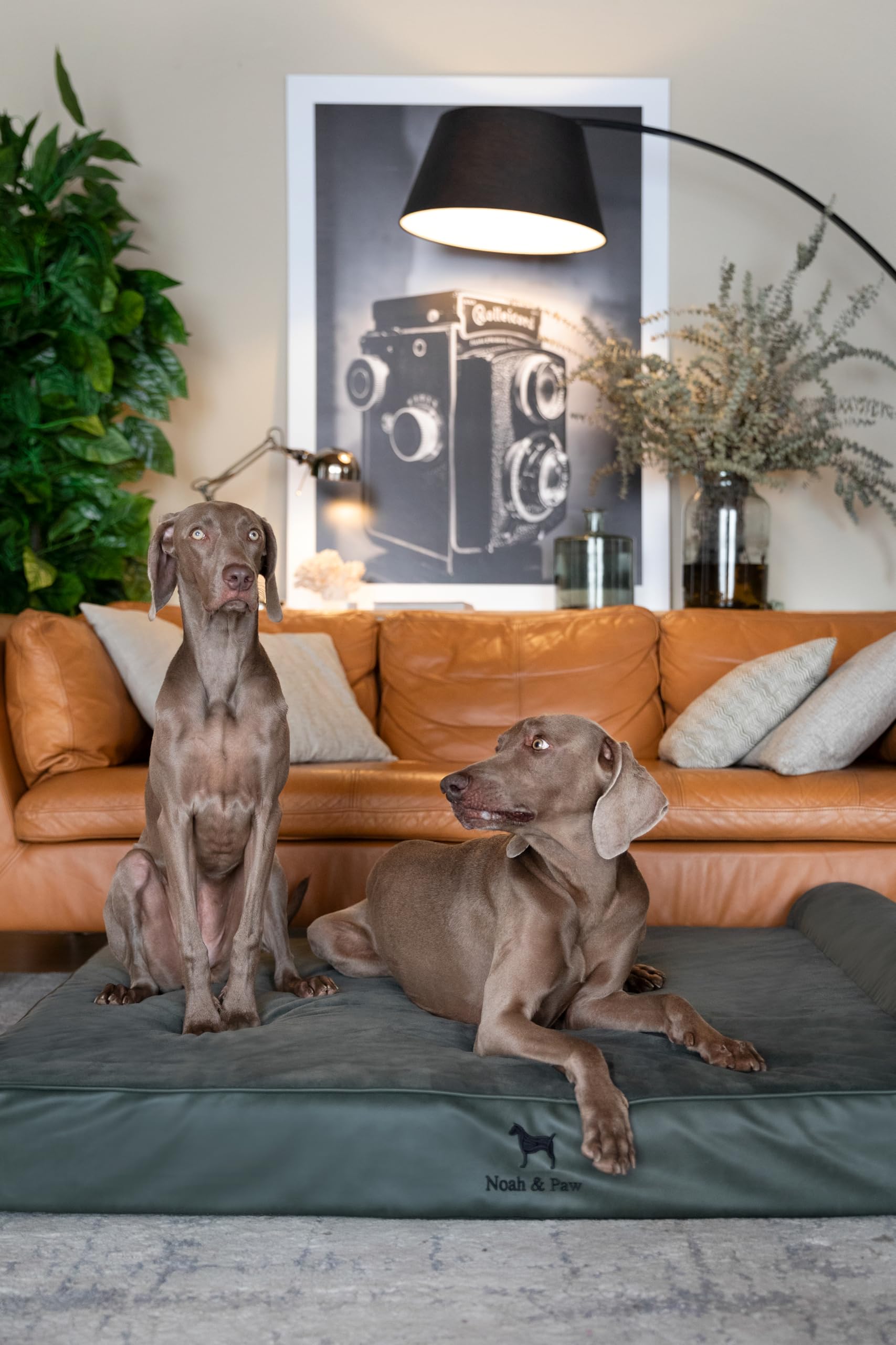 NOAH & PAW easy-care design with machine-washable covers.