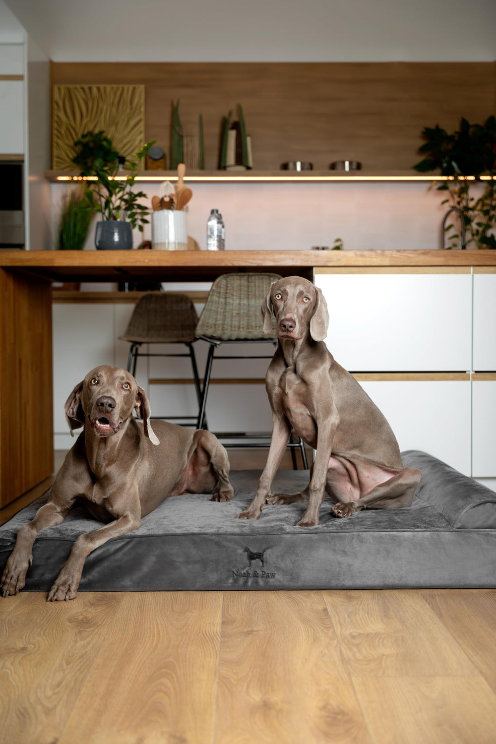 NOAH & PAW Giant Dog Bed XXL cooling-gel-infused foam maintains comfort for large dogs