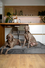 NOAH & PAW Giant Dog Bed XXL cooling-gel-infused foam maintains comfort for large dogs