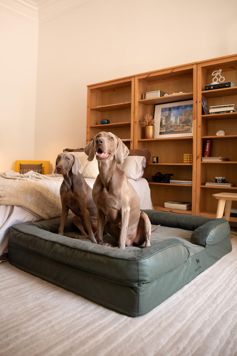NOAH & PAW Giant Dog Bed XXL cooling gel layer helps regulate temperature during naps.