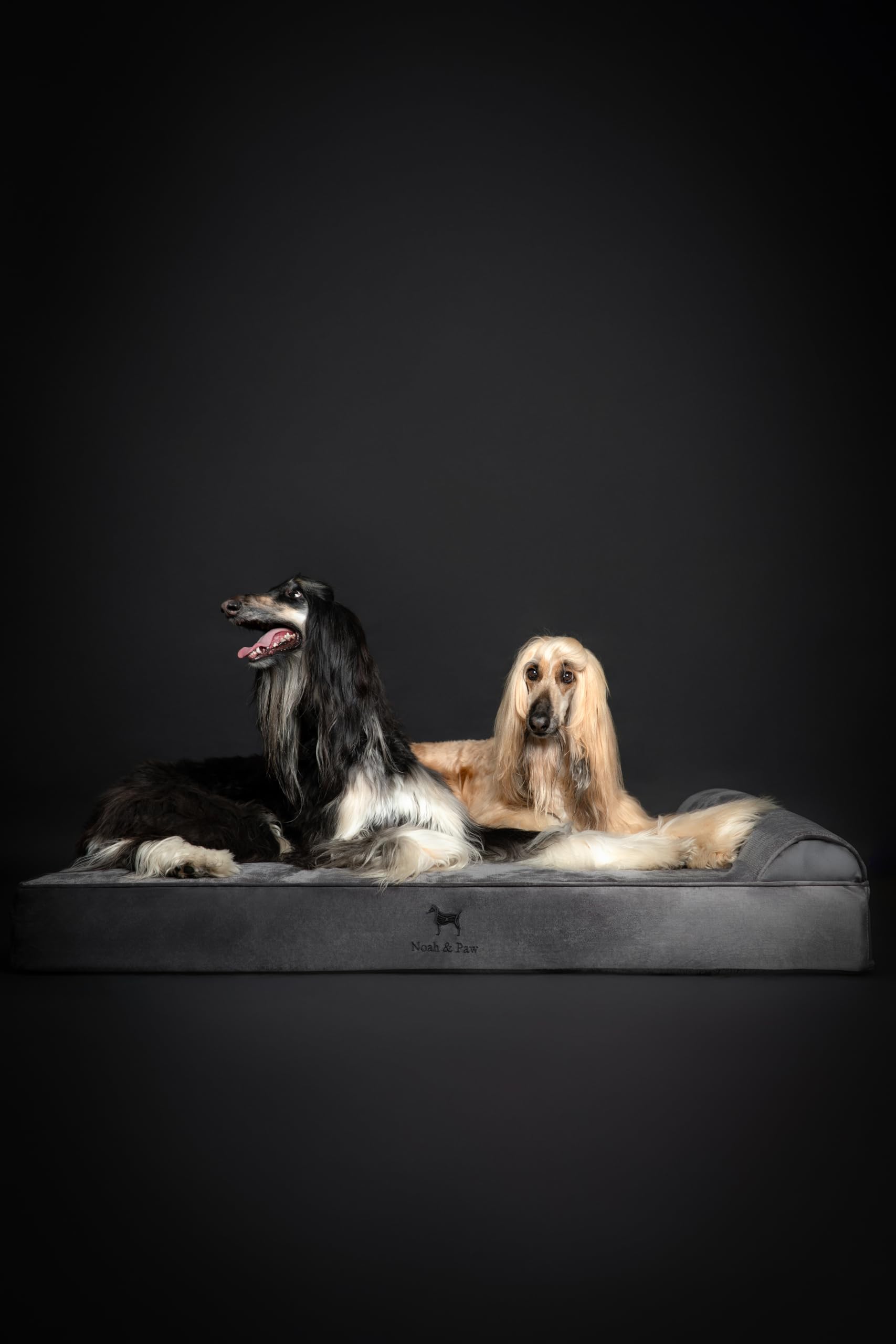 NOAH & PAW Giant Dog Bed XXL dog-on-bed scene in a living room setting