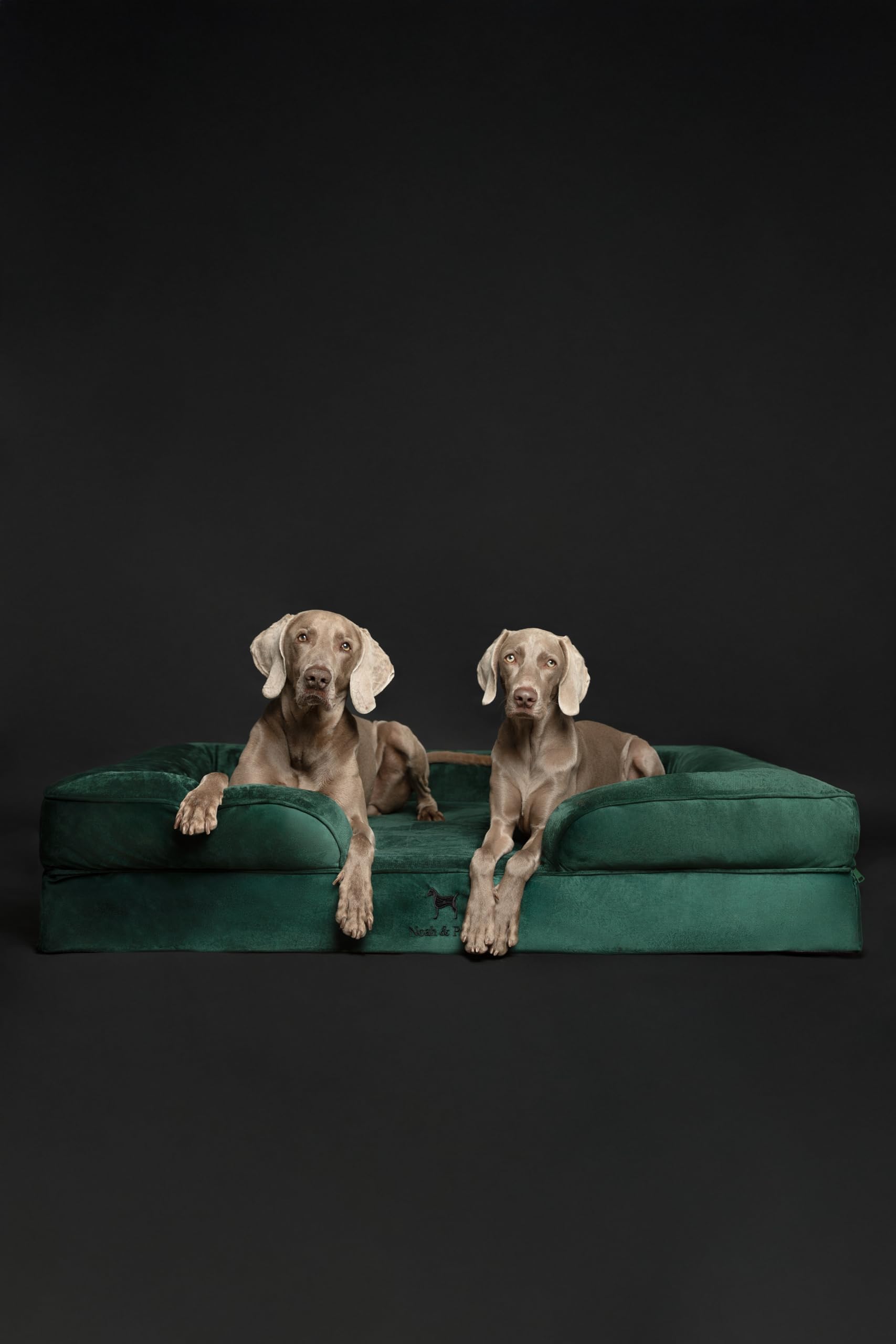NOAH & PAW Giant Dog Bed XXL egg-shell foam detail for cooling comfort.