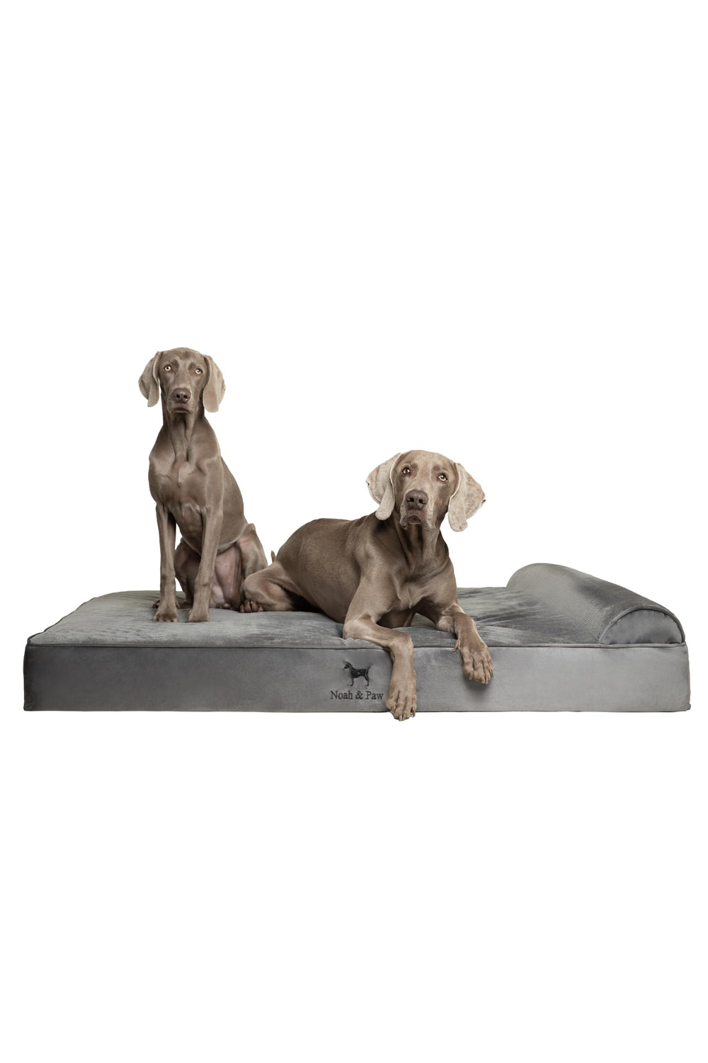NOAH & PAW Giant Dog Bed XXL foam-detail highlights orthopedic support for big dogs
