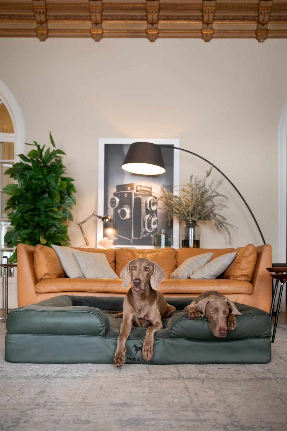 NOAH & PAW Giant Dog Bed XXL foam layers close up highlighting memory foam and cooling gel.