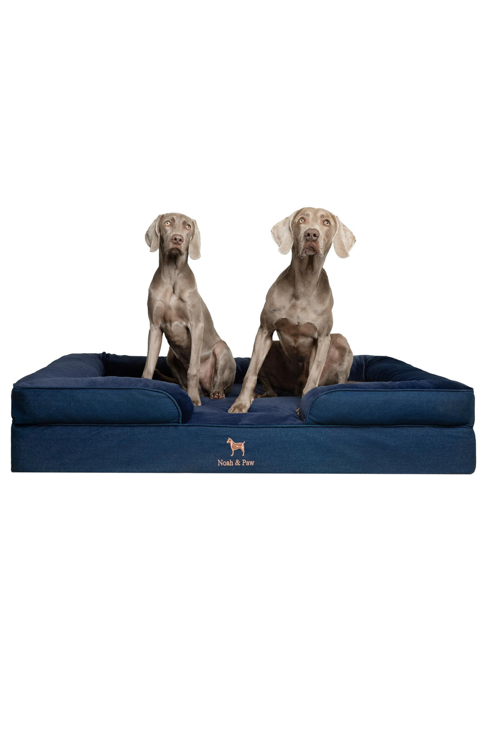 NOAH & PAW Giant Dog Bed XXL front view highlights generous space and supportive design.