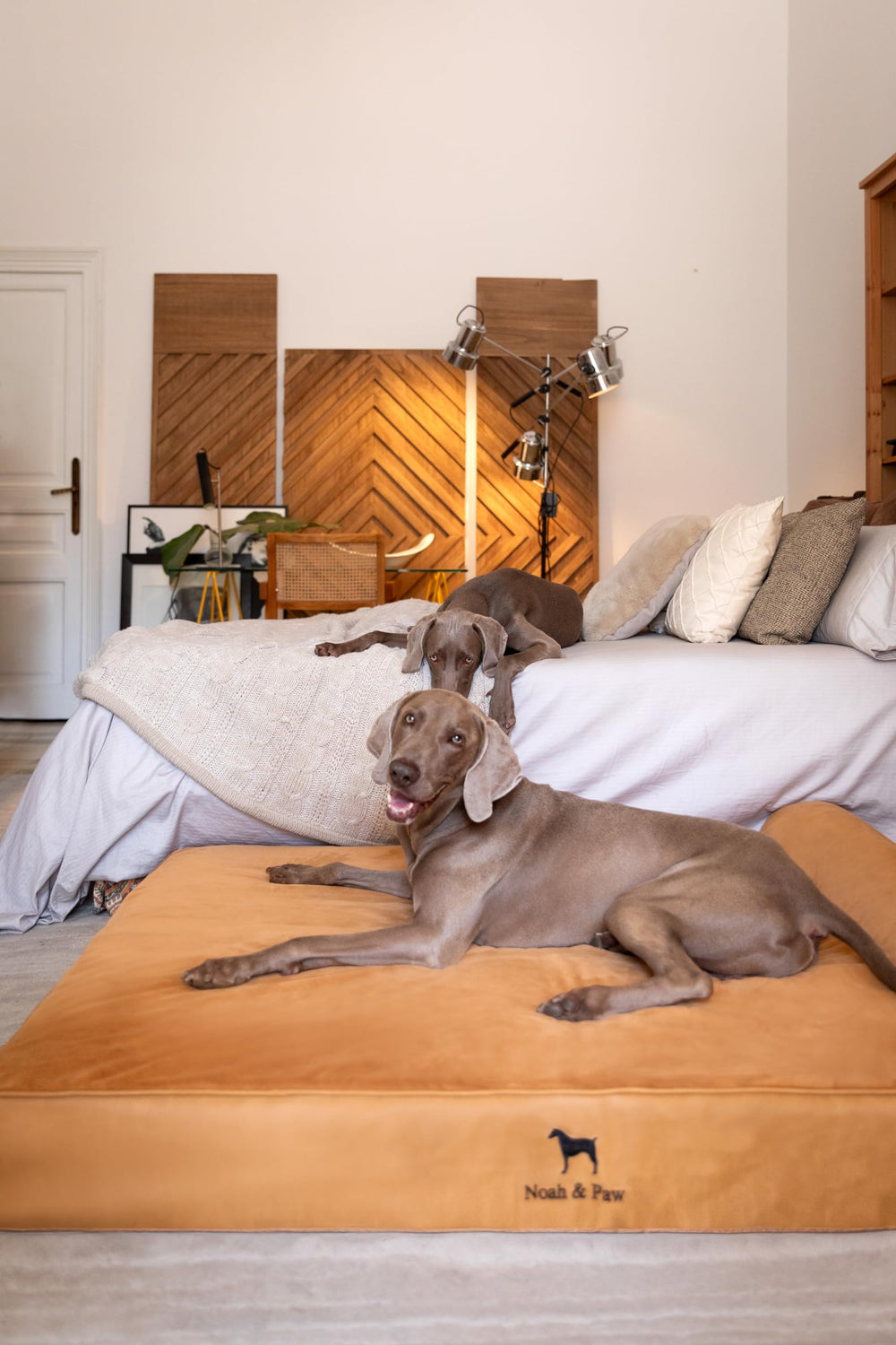 NOAH & PAW Giant Dog Bed XXL in living room illustrating generous space