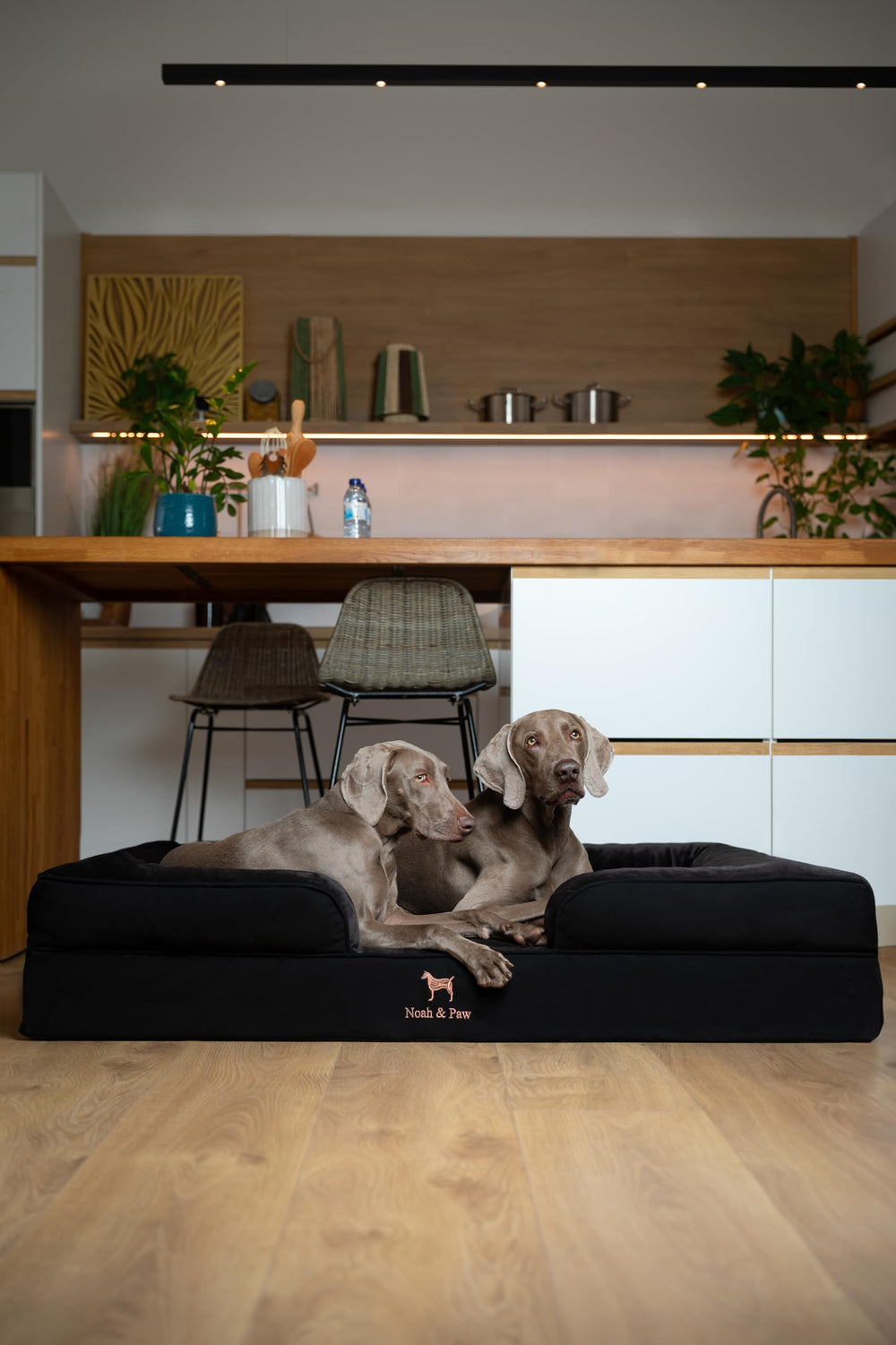 NOAH & PAW Giant Dog Bed XXL removable machine-washable covers in denim