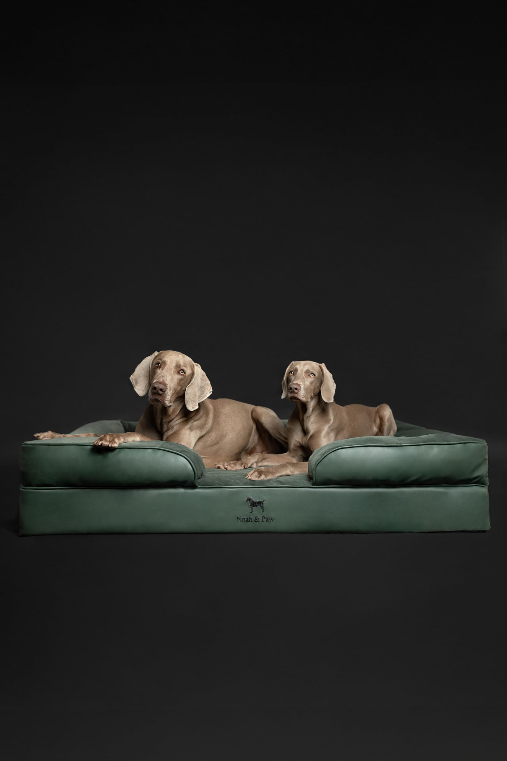 NOAH & PAW Giant Dog Bed XXL removable outer cover being cleaned or replaced.