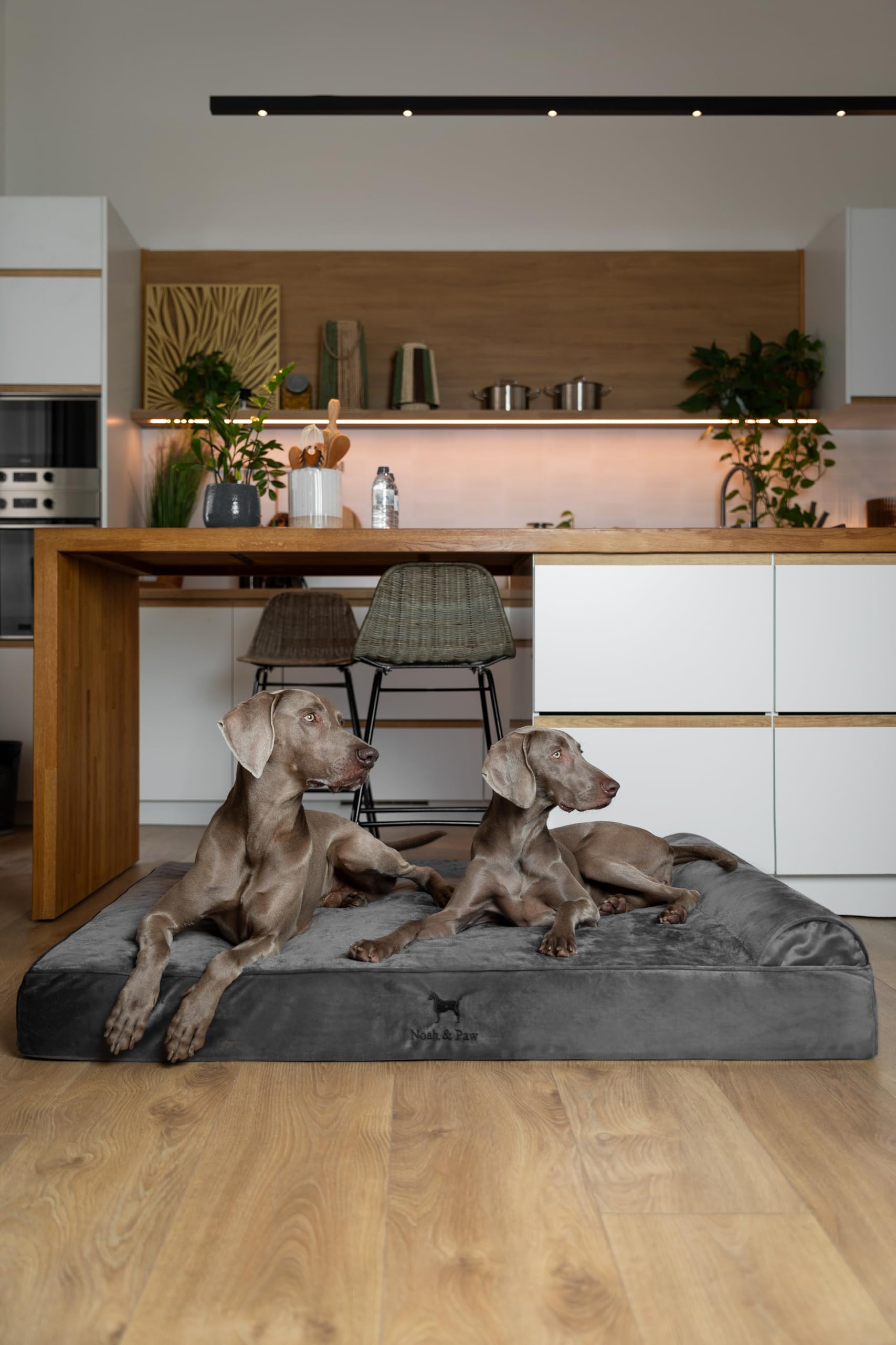 NOAH & PAW Giant Dog Bed XXL secure-zip ensures easy cover removal