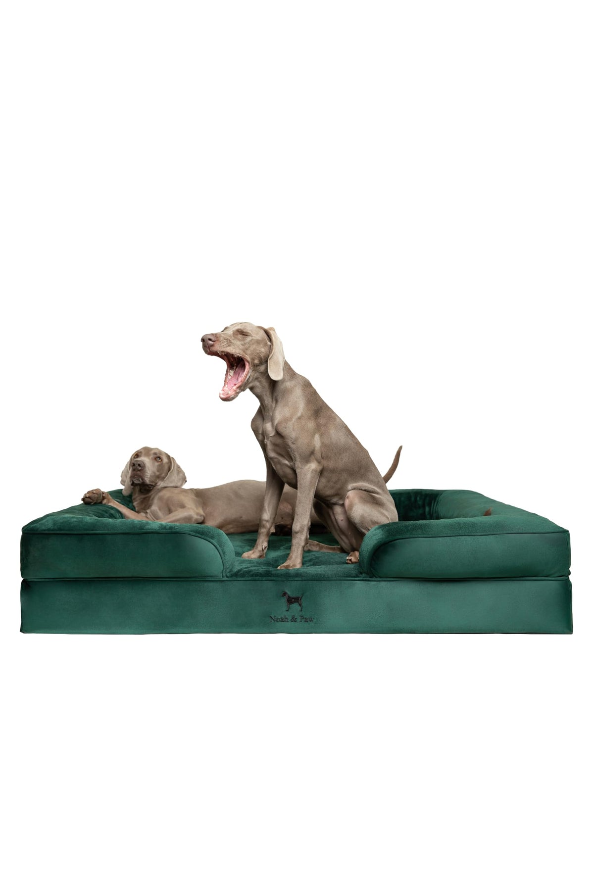 NOAH & PAW Giant Dog Bed XXL side view highlighting orthopedic support and space.