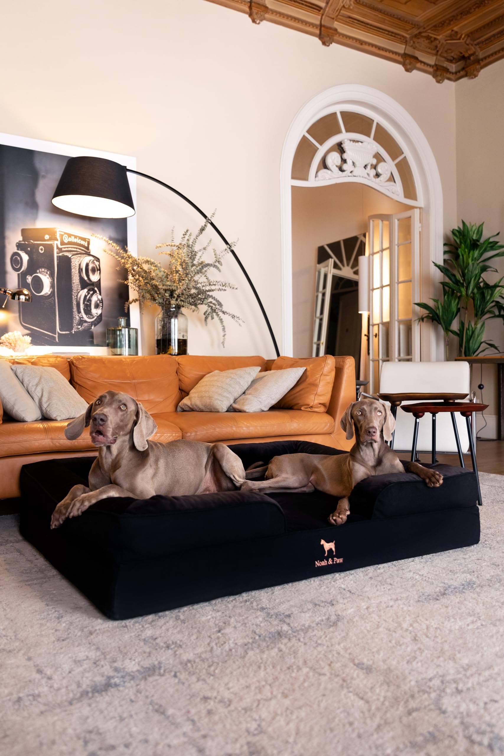 NOAH & PAW Giant Dog Bed XXL side view showing generous bolster for cozy lounging