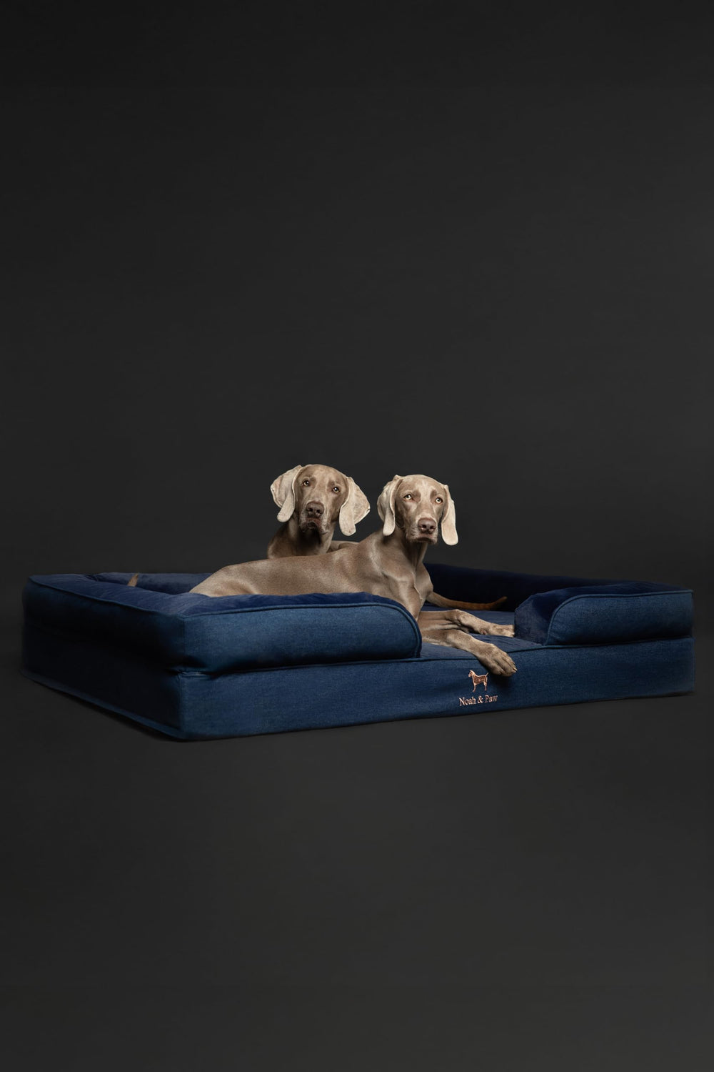 NOAH & PAW Giant Dog Bed XXL side view emphasizes tall bolster for comfort.