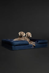 NOAH & PAW Giant Dog Bed XXL side view emphasizes tall bolster for comfort.
