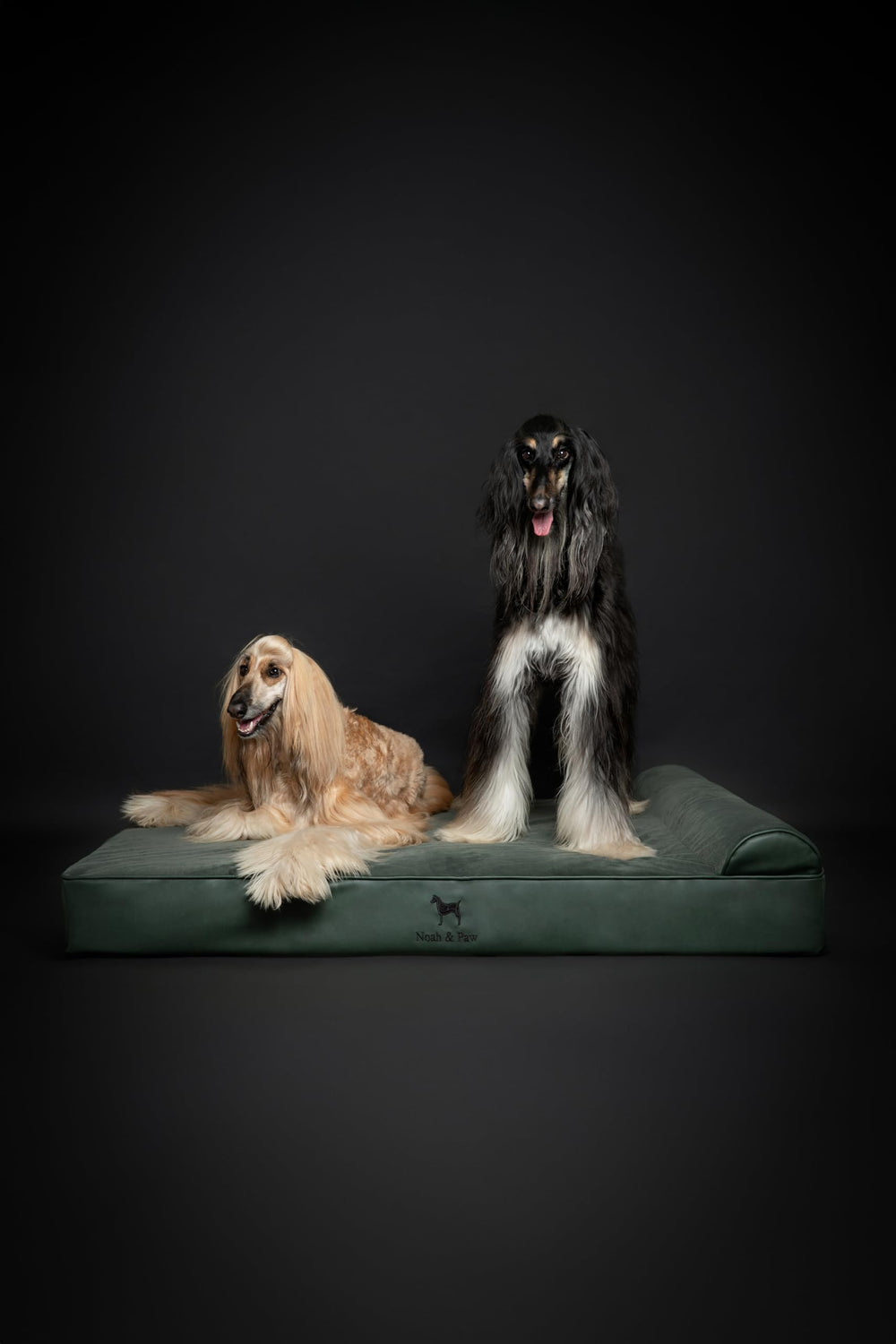 NOAH & PAW Giant Dog Bed XXL side view for scale reference.