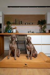 NOAH & PAW Giant Dog Bed XXL side view highlights spacious lounging area