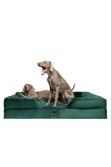 NOAH & PAW Giant Dog Bed XXL side view highlighting orthopedic support and space.