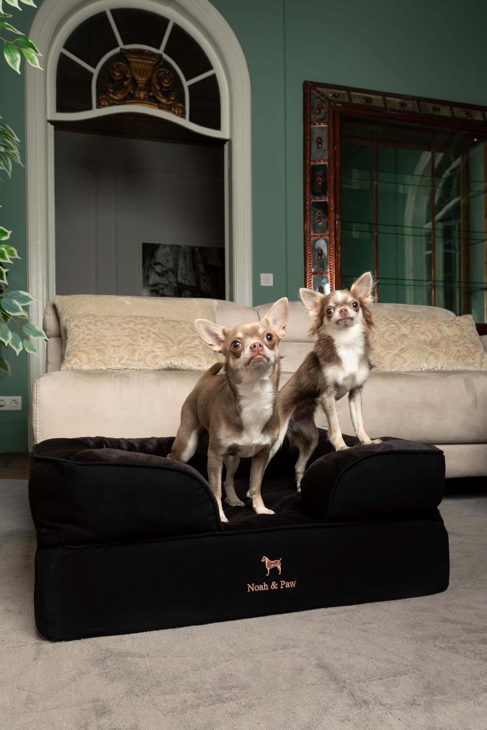 NOAH & PAW inner cover removable demonstrates easy washing for busy households