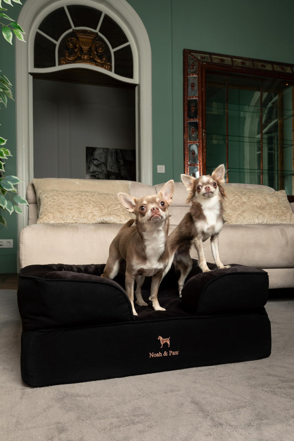 NOAH & PAW inner cover removable demonstrates easy washing for busy households