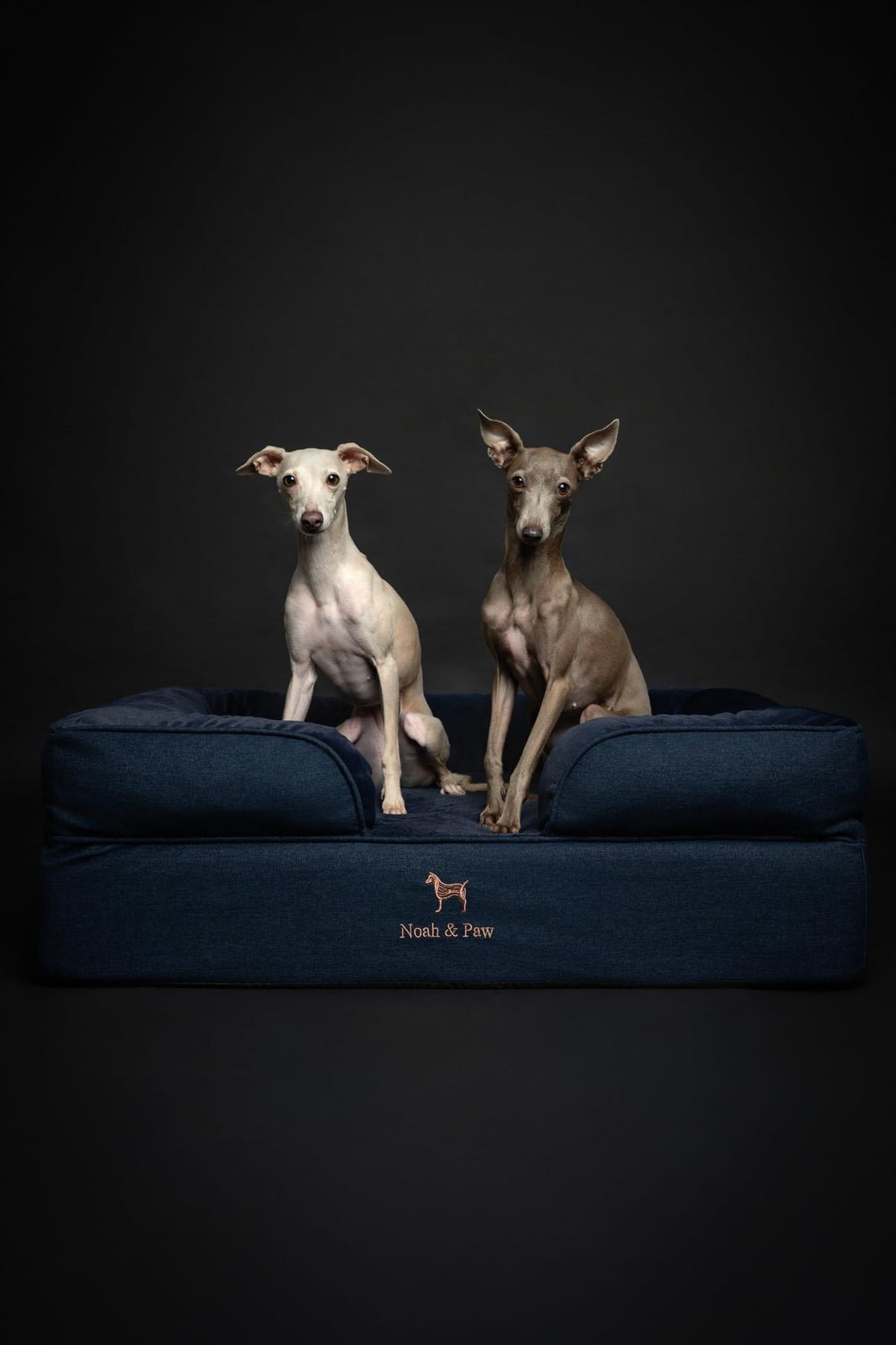 NOAH & PAW 11-inch raised bed height supports comfortable lounging.