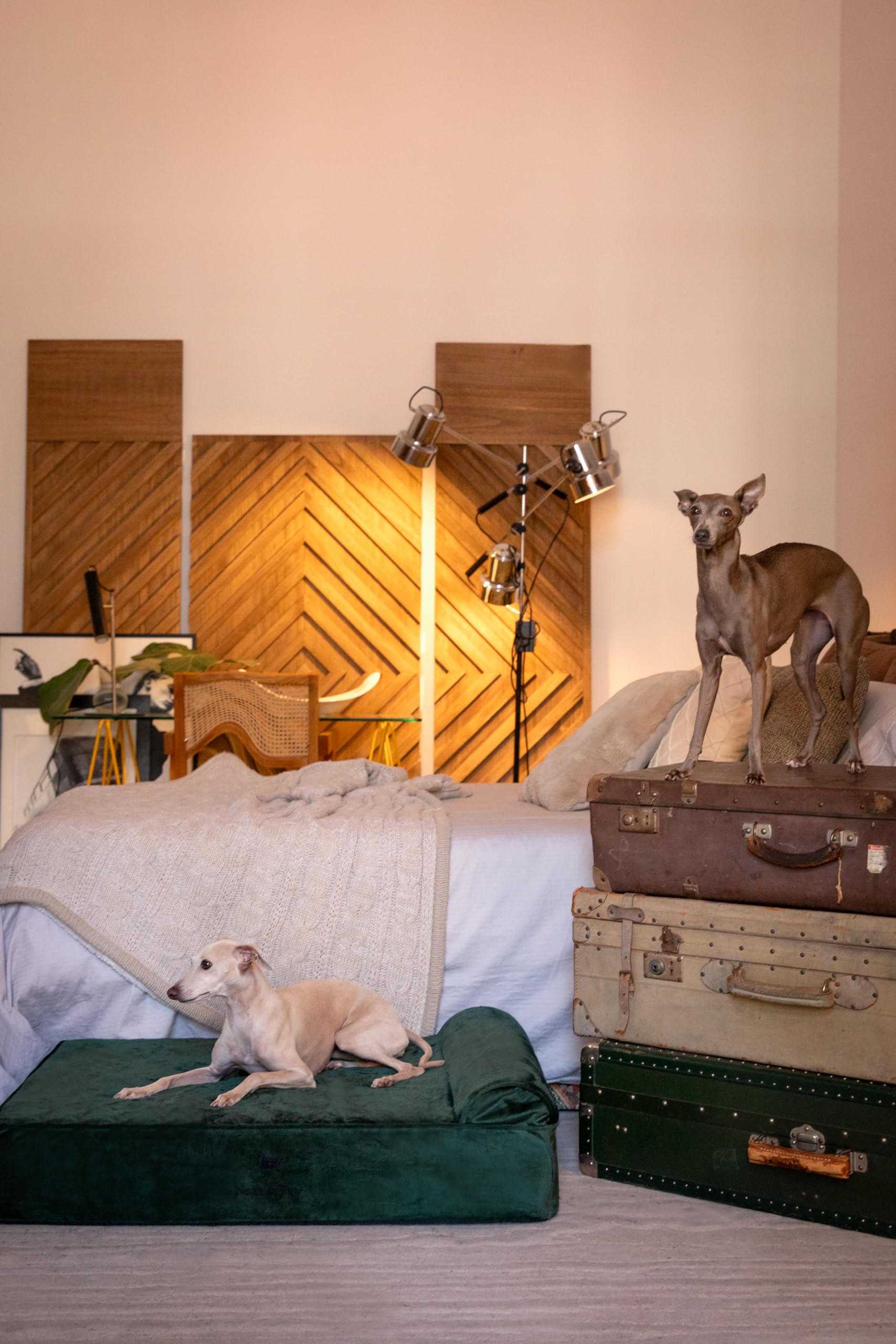 NOAH & PAW cooling gel-infused foam for comfortable rest.