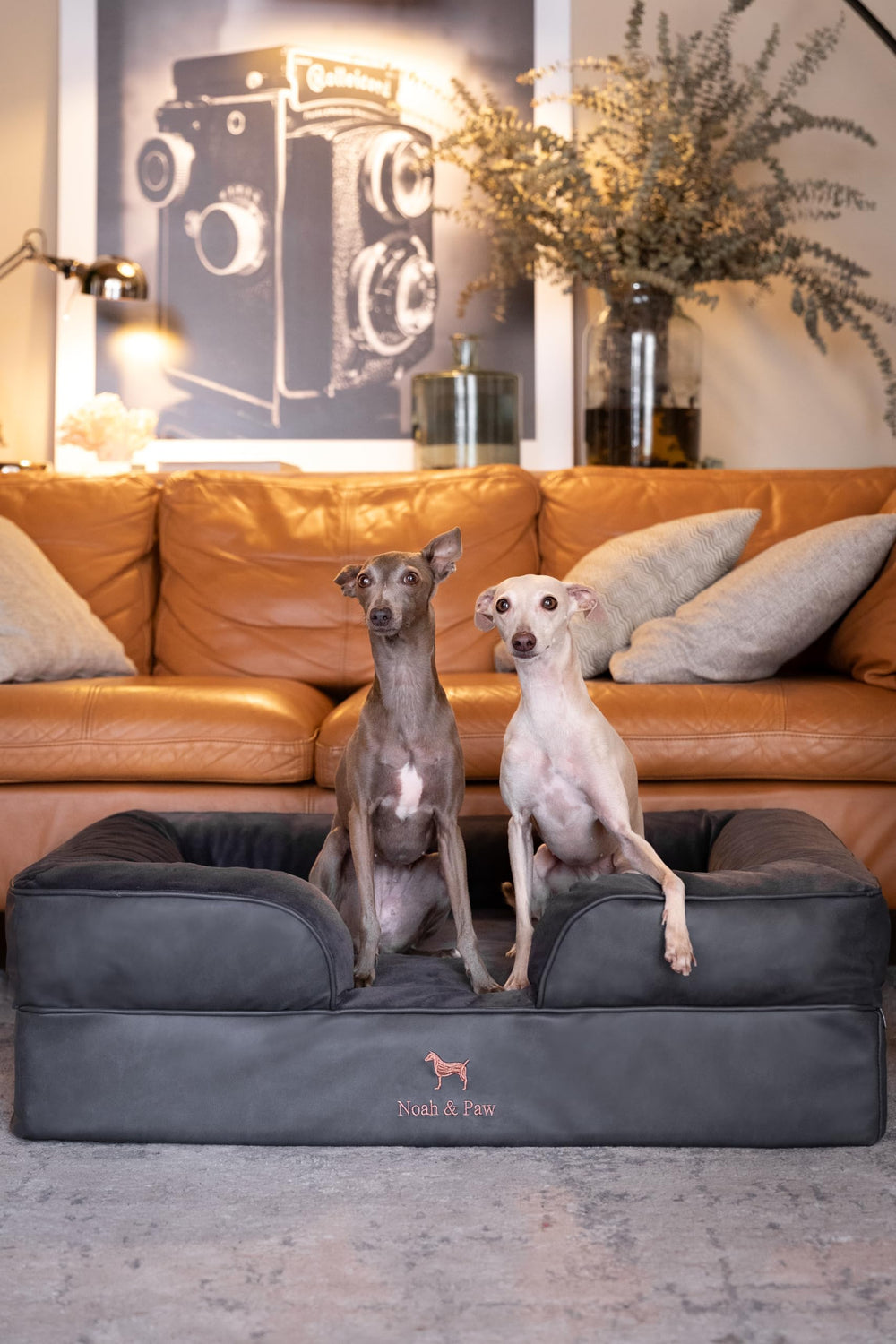 NOAH & PAW cooling-gel layer maintains comfortable temperature