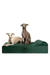 NOAH & PAW large dog bed foam detail highlights orthopedic joint support.