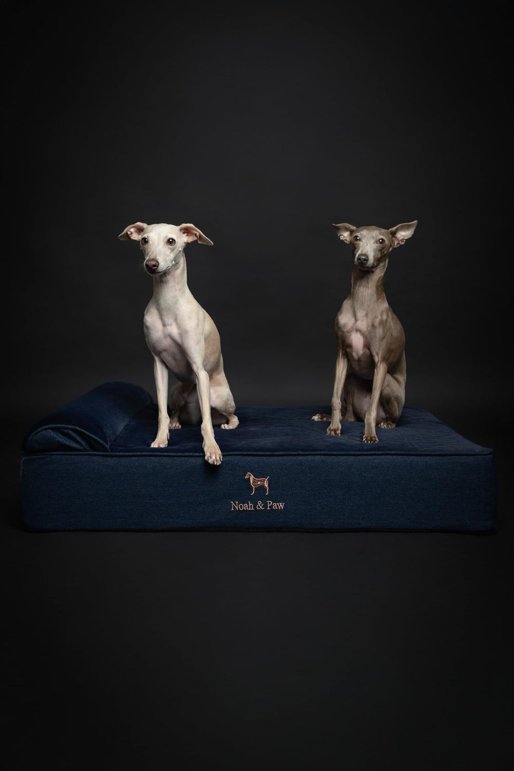 NOAH & PAW Large Dog Bed foam layers close-up highlighting orthopedic support and cooling features.