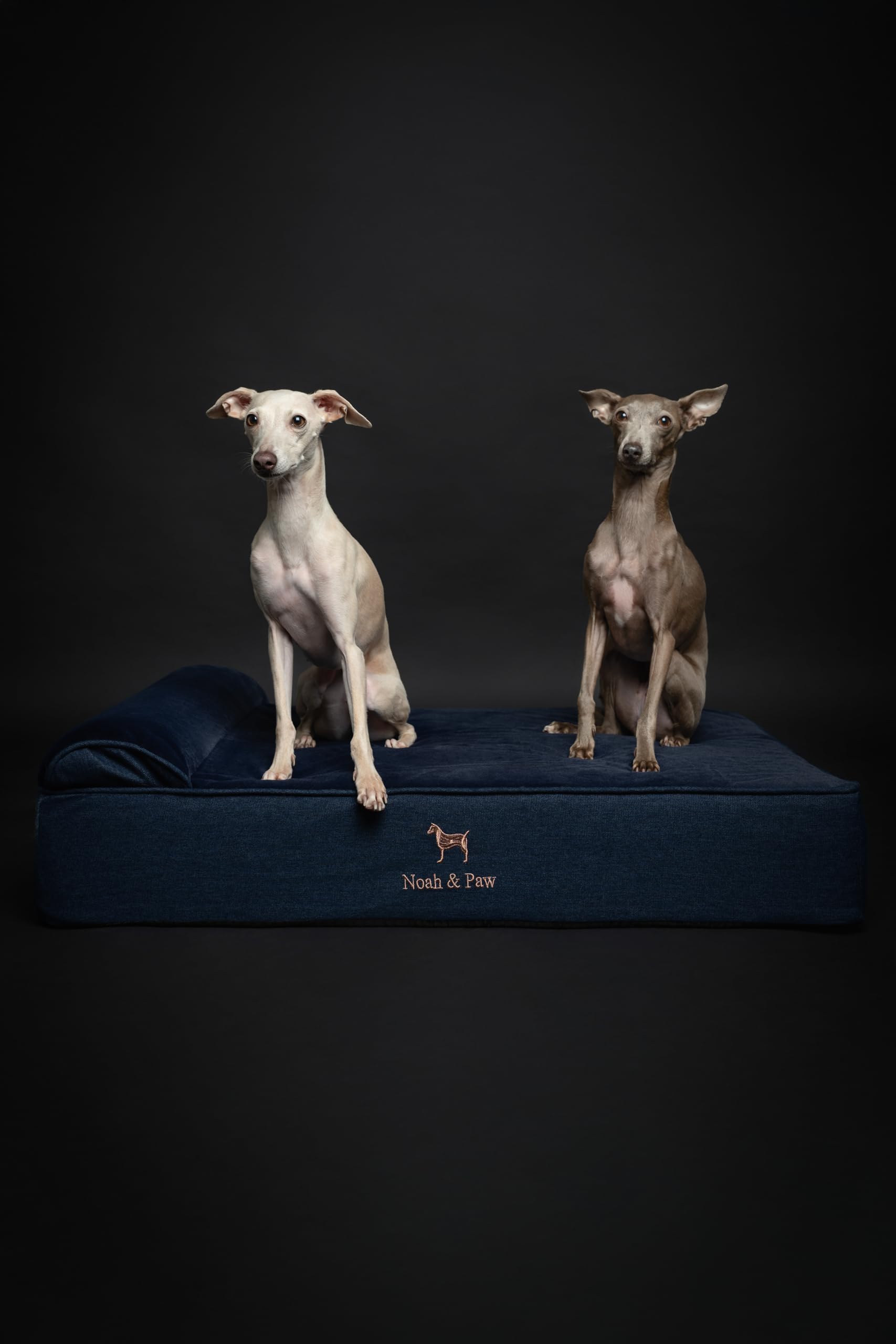 NOAH & PAW Large Dog Bed foam layers close-up highlighting orthopedic support and cooling features.
