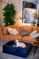 NOAH & PAW foam layer demonstrates layered memory foam support.