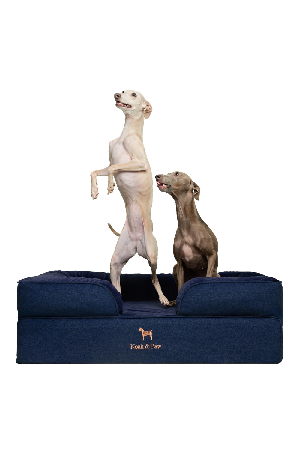 NOAH & PAW large dog bed with foam layers for orthopedic support.