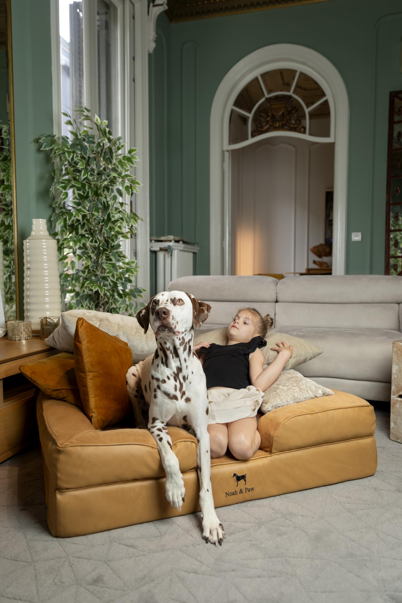 NOAH & PAW large dog bed inner cover detail highlighting washable option.