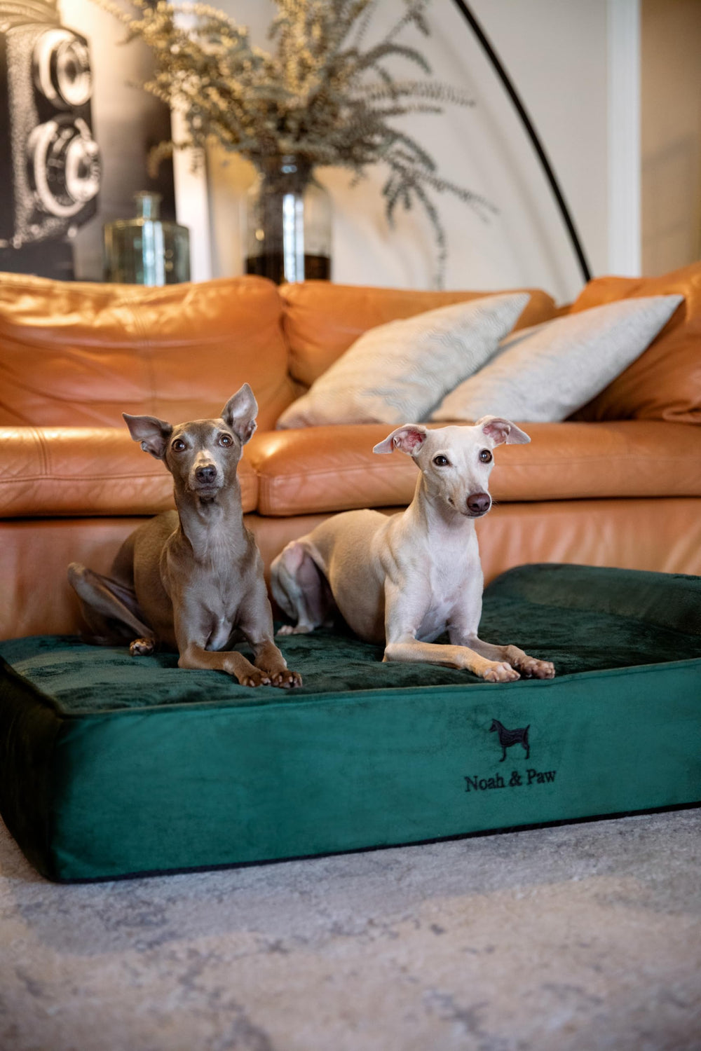 NOAH & PAW bed with machine-washable outer and inner covers.