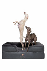 NOAH & PAW large dog bed memory-foam supports joints for restful sleep