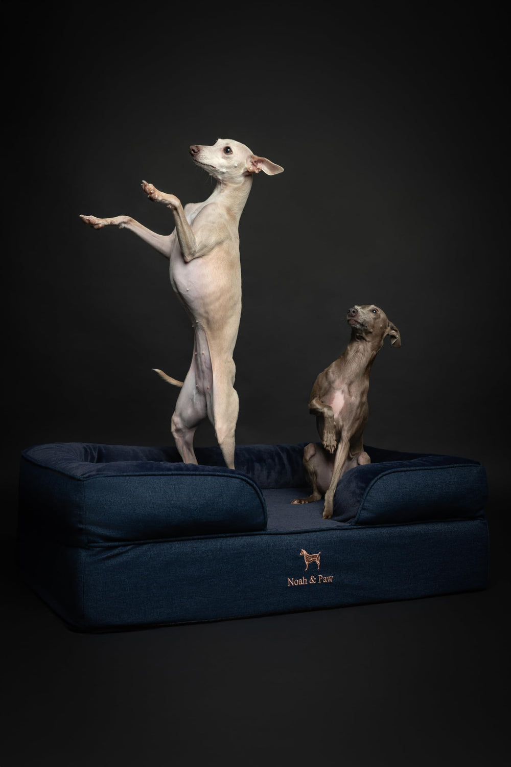 NOAH & PAW unboxing note: foam regains shape within 24-72 hours.