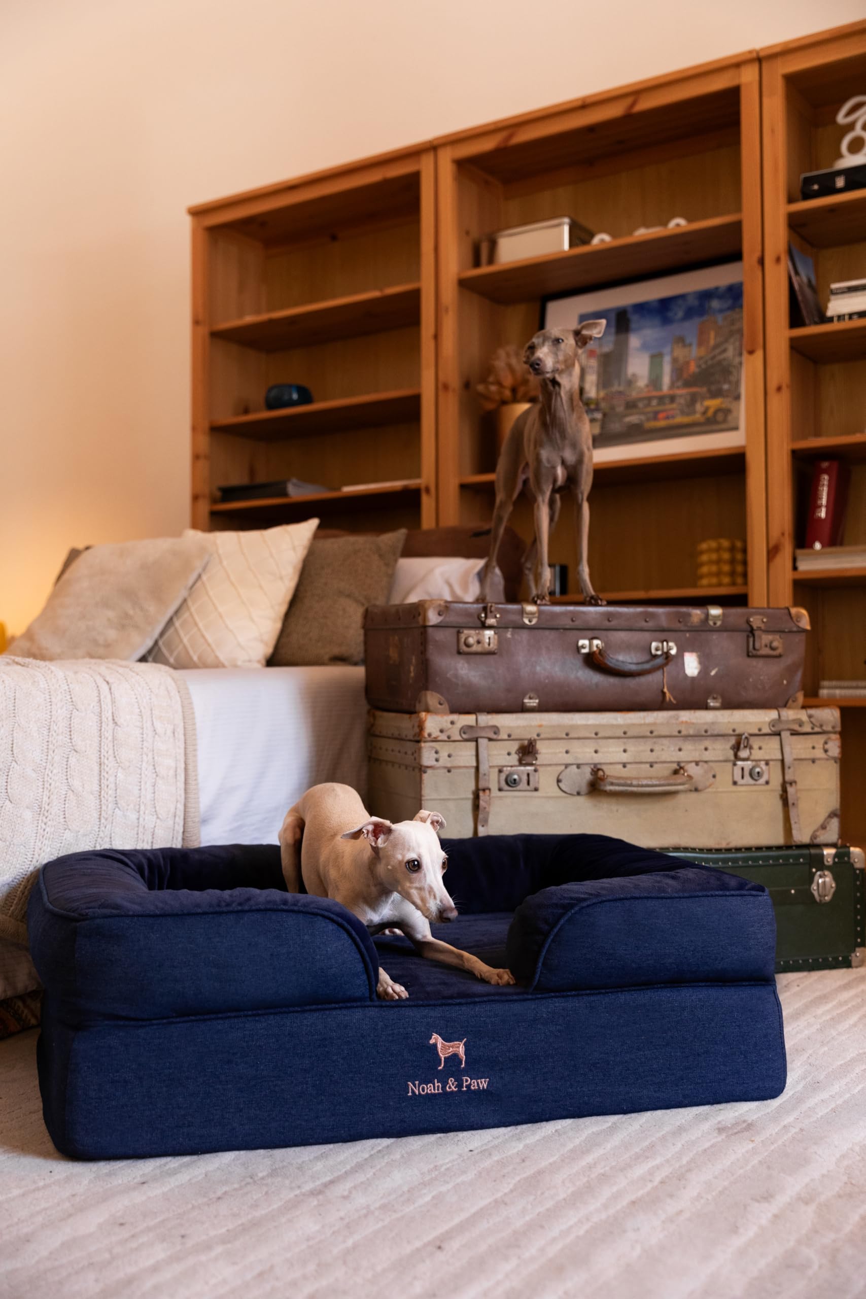 NOAH & PAW washable inner and outer covers for easy cleaning.