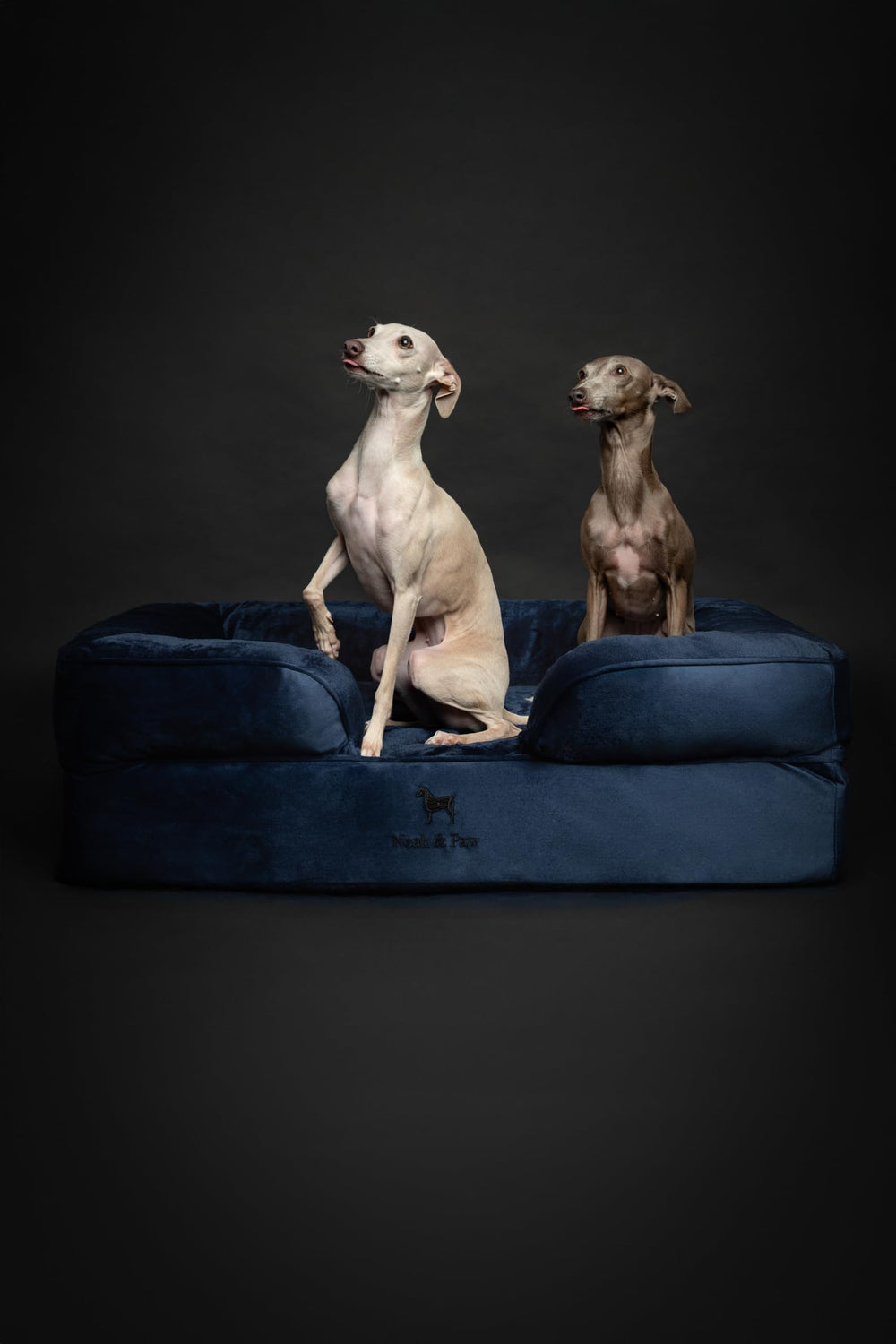 NOAH & PAW waterproof outer cover emphasizes protection and easy maintenance.