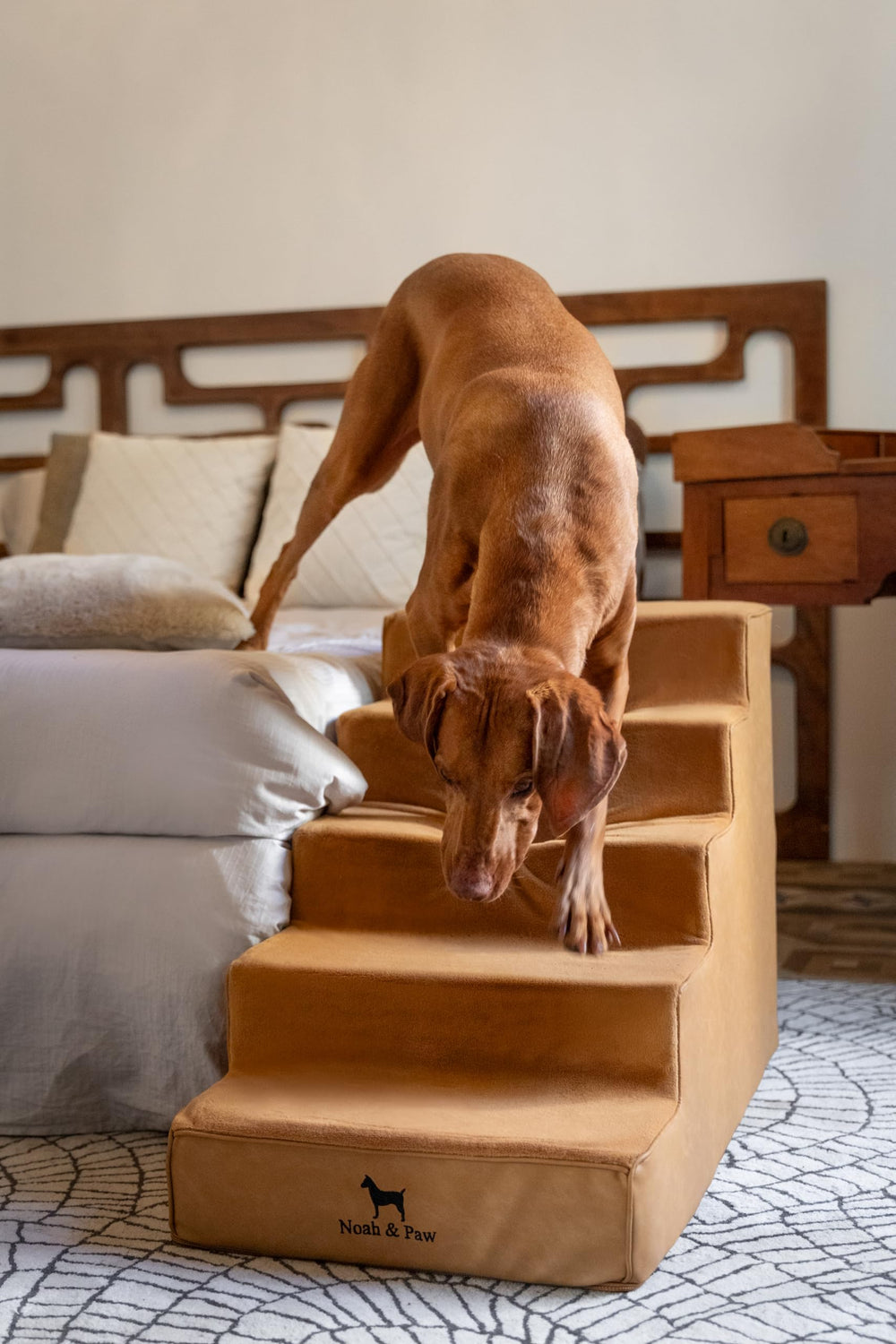 Noah & Paw leather dog stairs front view highlighting wide design